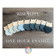 the wise owl logo is shown in five different colors