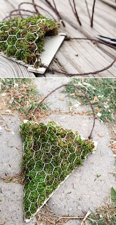 the grass is growing out of an old wire fence that has been placed on the ground