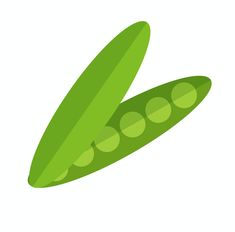 a green pea pod on a white background