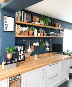 a kitchen with blue walls and shelves filled with potted plants on top of wooden counter tops