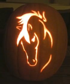 a horse carved into a pumpkin with the shape of a horse on it's face