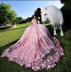 Dark Pink Quinceanera Dresses, Photoshoot Ideas Pink, Elegant Quince Dresses, Dresses For Quinceanera, 200 Aesthetic, Quince Photoshoot Ideas, Quince Photoshoot