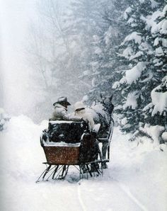 a horse drawn sleigh with two people in it on a snow covered road