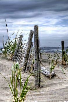 Beach Scene Painting, Beach Path, Beach Art Painting, Nature Tattoos, Beach Painting, Seascape Paintings, Beach Scenes