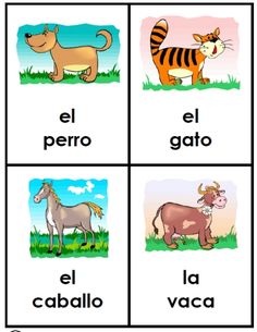 spanish words with pictures of animals and their names