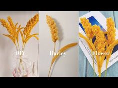 three different types of flowers in vases with ribbon tied around the stems and labeled diy, barley, and flower