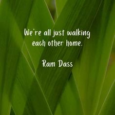 green grass with the words, we're all just walking each other home ram daas