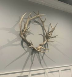 an antlers head mounted on the wall