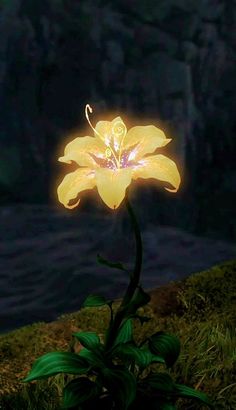 a yellow flower is lit up in the dark by light from its petals and stems