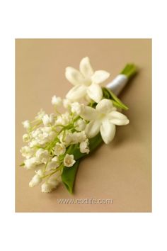 small white flowers are on the table