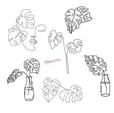 a line drawing of flowers and leaves in vases