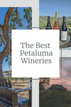 the best petalumaa wineries cover image with images of vineyards and trees