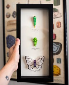 a person holding up a shadow box with three butterflies in it and one butterfly on the inside