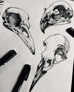 three skulls and two birds with long beaks on top of a sheet of paper