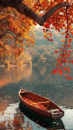 a boat floating on top of a body of water under a tree filled with leaves