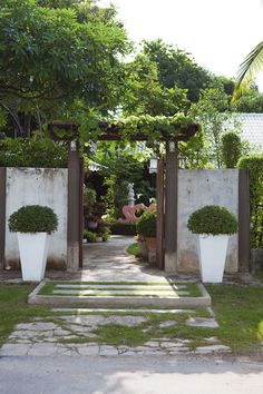 an outdoor garden with two large white planters and steps leading up to the entrance