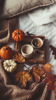 two cups of coffee sit on a tray surrounded by autumn leaves