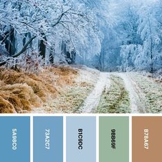 Victorian Color Palette, Victorian Colors, Victorian Portraits, Winter Color Palette, Light Cyan