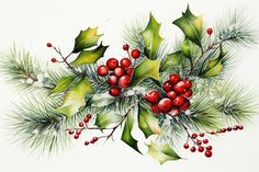 a watercolor painting of holly and berries