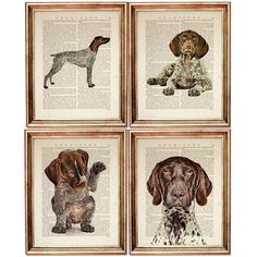 four framed pictures of dogs sitting on top of an old book page, each with their own dog's face