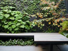 a wooden bench sitting in front of a lush green plant covered wall and shrubbery