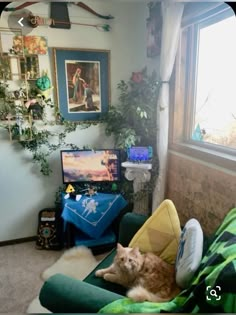 an orange cat laying on top of a green couch in front of a tv set