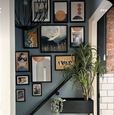 a staircase with pictures on the wall and a potted plant