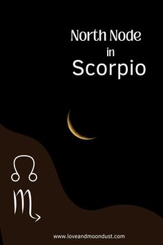 Embrace Transformation: North Node in Scorpio in Astrology South Node, North Node, Hidden Talents, Scorpio Love, Moon Rising, Past Lives, Out Of Your Comfort Zone, The Cosmos, Past Life