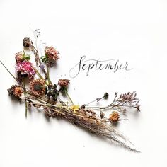 an image of some flowers and the word september written in cursive writing on a white background