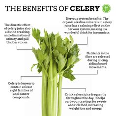 Celery Health Benefits, Benefits Of Celery, Food Remedies, Clean Gut, Celery Juice Benefits, Diy Medicine, Yoga Information, Healthy Facts, Holistic Health Remedies