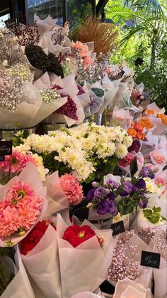 many different types of flowers are on display