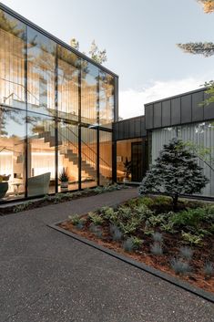 an exterior view of a modern house with glass walls and trees in the front yard