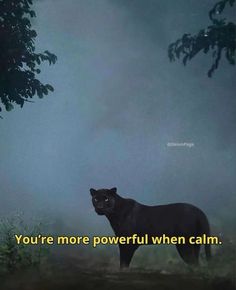 a black bear standing in the middle of a forest with a quote above it that reads, you're more powerful when calm