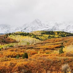 the mountains are covered in snow and fall colored trees with yellow, green, and red foliage