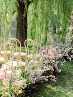 rows of chairs are lined up in front of the trees and flowers on the lawn