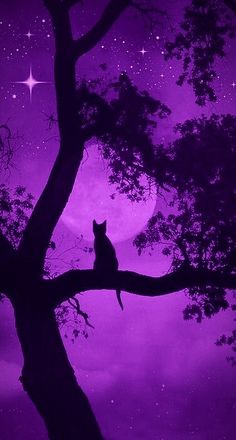 a cat sitting on top of a tree branch under a purple sky filled with stars