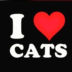 i love cats sticker on a black background