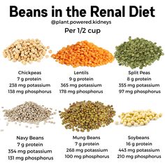 Kidney Friendly Soups: What to Include and Avoid + A Free Recipe! Low Protein Foods Kidney, Plant Based Renal Diet Recipes, Vegan Renal Diet Recipes, Kidney Healthy Foods Renal Diet, Foods To Avoid In Kidney Stone, Free Food, Soups