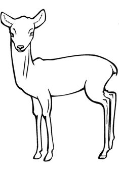 an antelope standing in the grass coloring page