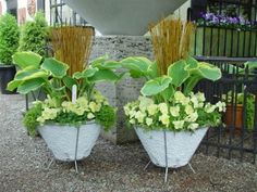 two planters with plants in them on the ground