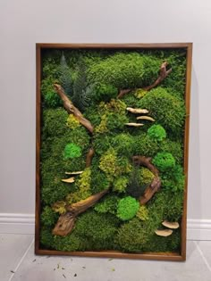 a moss covered wall with various types of trees and plants in it's wooden frame