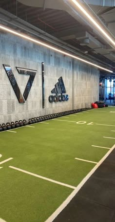 an indoor sports facility with artificial turf