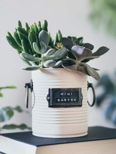 a white tin can with some plants in it on top of a black and white book