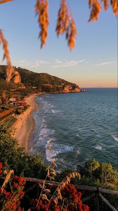 the beach is surrounded by trees and flowers near the water's edge at sunset