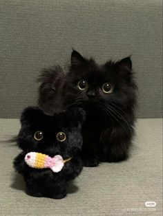 two black kittens sitting next to each other on a couch with one holding a stuffed animal