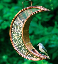 a bird sitting on top of a hanging bird feeder in the shape of a half moon