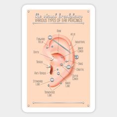 A complete and comprehensive infographic chart on various ear piercings, their name and where they are. -- Choose from our vast selection of stickers to match with your favorite design to make the perfect customized sticker/decal. Perfect to put on water bottles, laptops, hard hats, and car windows. Everything from favorite TV show stickers to funny stickers. For men, women, boys, and girls. Ear Piercing Chart, Outer Conch, Piercing Chart, Types Of Ear Piercings, Chart Infographic, Anti Tragus, Ear Piercing