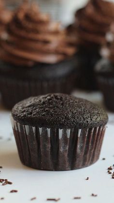 chocolate cupcakes with frosting and sprinkles