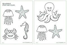 four coloring pages with different sea animals and starfishs on them, one in black and white the other in color