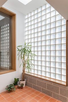 a room with a potted plant in the corner and a large window behind it